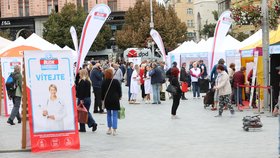 Blesk Ordinace v Brně otevřela své brány.