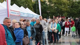 Blesk Ordinace Ostrava 2026