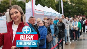 Ani podmračené nebe a chladné počasí davy návštěvníků neodradilo.