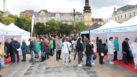Blesk Ordinace Ostrava 2026