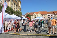 Blesk Ordinace v Písku: 12 stánků prevence a vyšetření zdarma, hvězdou Michal David!