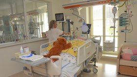 Nemocnice provozuje zcela unikátní oddělení – tzv. NIP. Jde o oddělení Následné Intenzivní Péče pro děti (dříve OCHRIP), kde jsou mimo jiné i děti v dlouhodobých kómatických stavech.