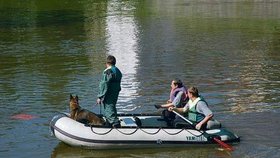 Pátrání na vodě se účastní i speciálně vycvičení psi, kteří dokáží odhalit utonulého i v hloubce šesti metrů.