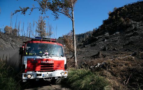Požár v Národním Parku České Švýcarsko-03.08.2022