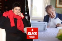 Podcast: Senát chce jen vůni bábovky, kritizuje Džamila Stehlíková rozhodnutí o prognóze