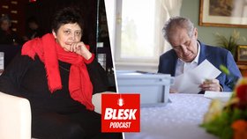 Blesk Podcast: Senát chce jen vůni bábovky, kritizuje Džamila Stehlíková rozhodnutí o prognóze.