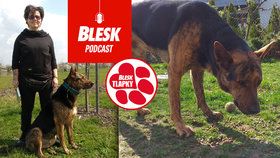 Blesk Podcast: Conan byl zabiják. Nyní kříženec léčí jiné agresivní pejsky