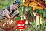 Blesk Podcast: Jak se hledají houby za tisíce?