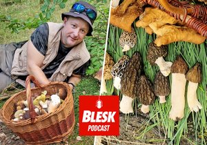 Blesk Podcast: Jak se hledají houby za tisíce?