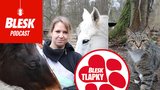 Blesk Podcast: Kůň na jatka, valach z Pardubické nebo stařenka z Chuchle. Petra Říhová zachraňuje koně a kočky