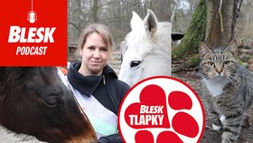 Petra Říhová ze spolku Pinta - druhá šance se stará o opuštěná a týraná zvířata.