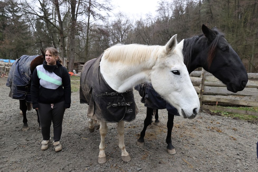 Petra Říhová ze spolku Pinta - druhá šance se stará o opuštěné a týrané koně.