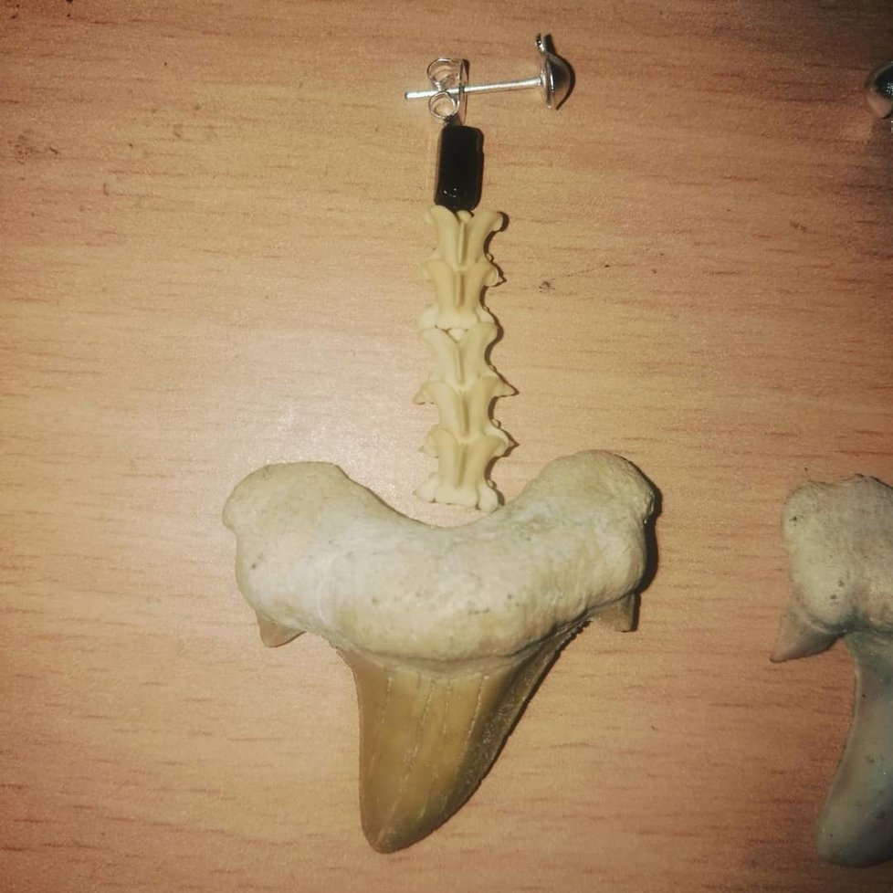 Martin Šrámek obdržel žraločí zuby z Kapverdských ostrovů. Inspirovalo jej to k tetování štičími zuby.