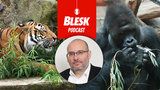 Podcast: Další nakažená zvířata v Zoo Praha. Richard v jídle dohání, co zanedbal, řekl ředitel Bobek