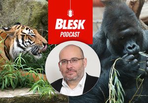 Blesk Podcast: Další nakažená zvířata v Zoo Praha. Richardovi je lépe, řekl ředitel Miroslav Bobek