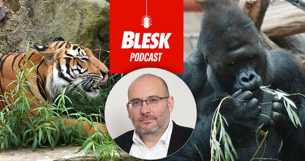 Podcast: Další nakažená zvířata v Zoo Praha. Richard v jídle dohání, co zanedbal, řekl ředitel Bobek