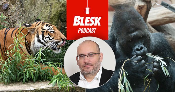 Blesk Podcast: Další nakažená zvířata v Zoo Praha. Richardovi je lépe, řekl ředitel Miroslav Bobek