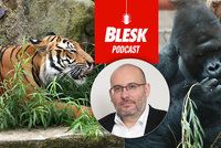 Podcast: Další nakažená zvířata v Zoo Praha. Richard v jídle dohání, co zanedbal, řekl ředitel Bobek