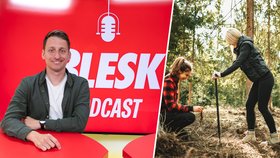 Blesk Podcast: Richard se stal z ajťáka lesníkem. Sázíme Česko pomáhá zalesňovat holiny