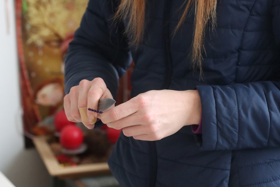 Malá klaučata se odřezávají v ruce nožíkem.