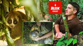 Blesk Podcast: Pytláky jsme přesvědčili, aby chránili přírodu, řekl Příbrský