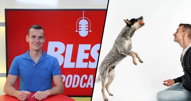 Podcast: Dával milionové půjčky, nyní trénuje psy. Za neposlušnost chlupáčů mohou lidé, myslí si Zlocha