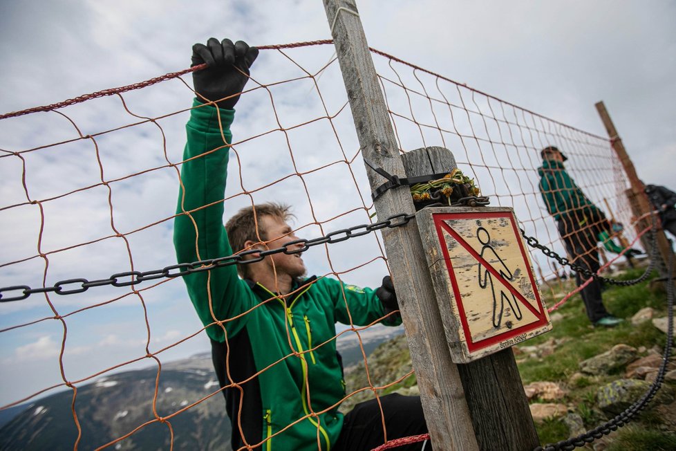 Pracovníci Správy Krkonošského národního parku rozmístili 11. června 2021 na vrcholu Sněžky v Krkonoších ochranné sítě. Mají zamezit návštěvníkům v pohybu mimo vyznačené plochy a tedy devastaci přírody.