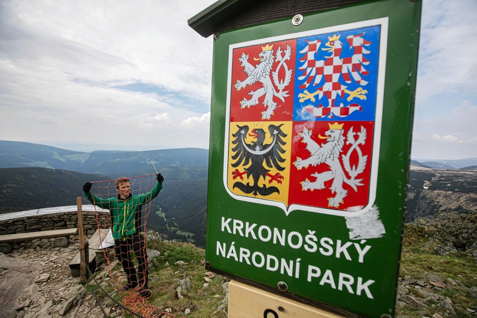 Pracovníci Správy Krkonošského národního parku rozmístili 11. června 2021 na vrcholu Sněžky v Krkonoších ochranné sítě. Mají zamezit návštěvníkům v pohybu mimo vyznačené plochy a tedy devastaci přírody.