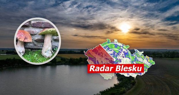 Víkend přinese déšť i bouřky, pak se vrátí tropy. A dobrá zpráva: už rostou. Sledujte radar Blesku.