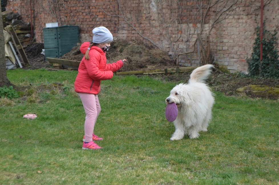 Z apatického nemocného Arga se stal akční pes, který miluje pohyb a hry