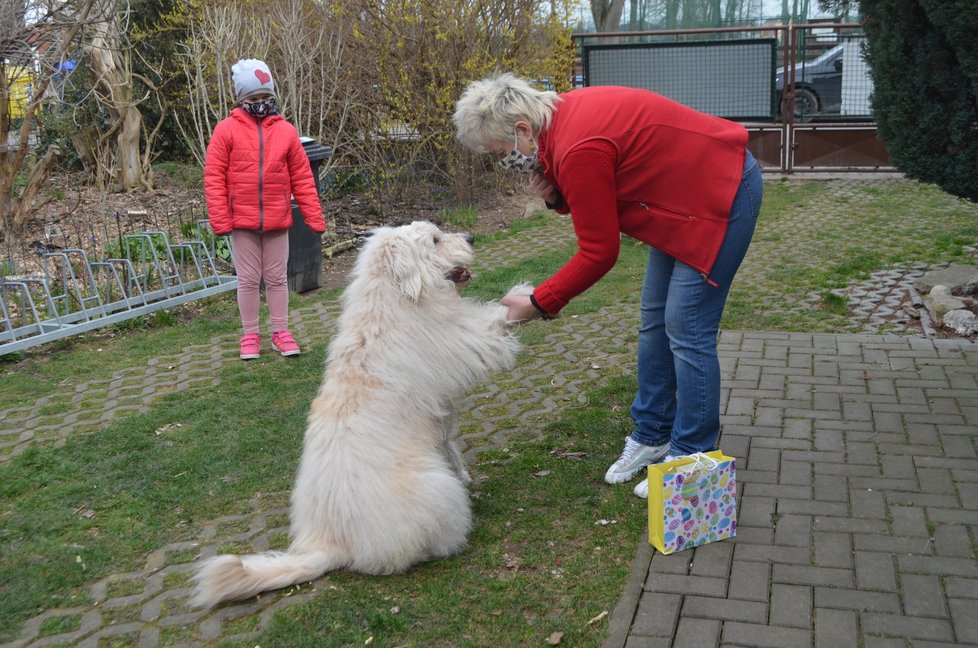 Na akci nebude chybět ani maskot Blesk tlapek, něžný obr Arnošt, dříve Argo, se svou adoptivní rodinou.