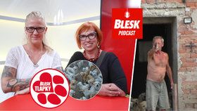 Blesk Podcast: Kauza množírny retrívrů. Redaktorky něco takového ještě neviděly.