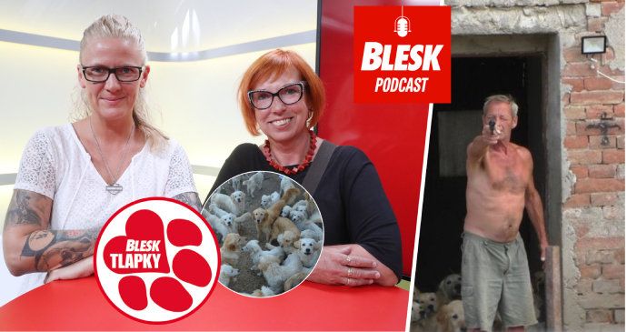 Blesk Podcast: Kauza množírny retrívrů. Redaktorky něco takového ještě neviděly.