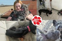 Ethel a Nessie živořily zavřené v koupelně. Majitelka se jich vzdala, spolek se obrátil na policii