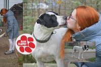 Páníček šel do vězení, Trip skončil v útulku. Na domov tam čeká už dva roky