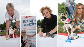 Festival Blesk tlapek: Tisíce lidí na Vypichu a jasný vzkaz hvězd: NE množírnám 