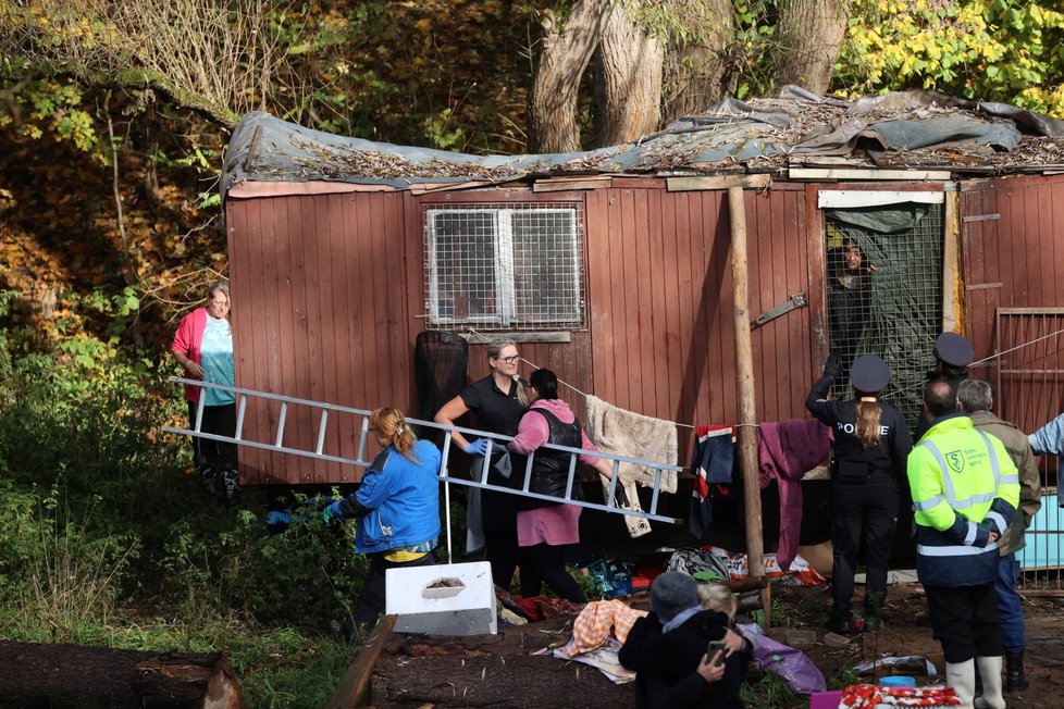 Majitelka koček s úřady nejprve nespolupracovala a s částí zvířat se zavřela v rozpadlé maringotce. (25.10.2022)