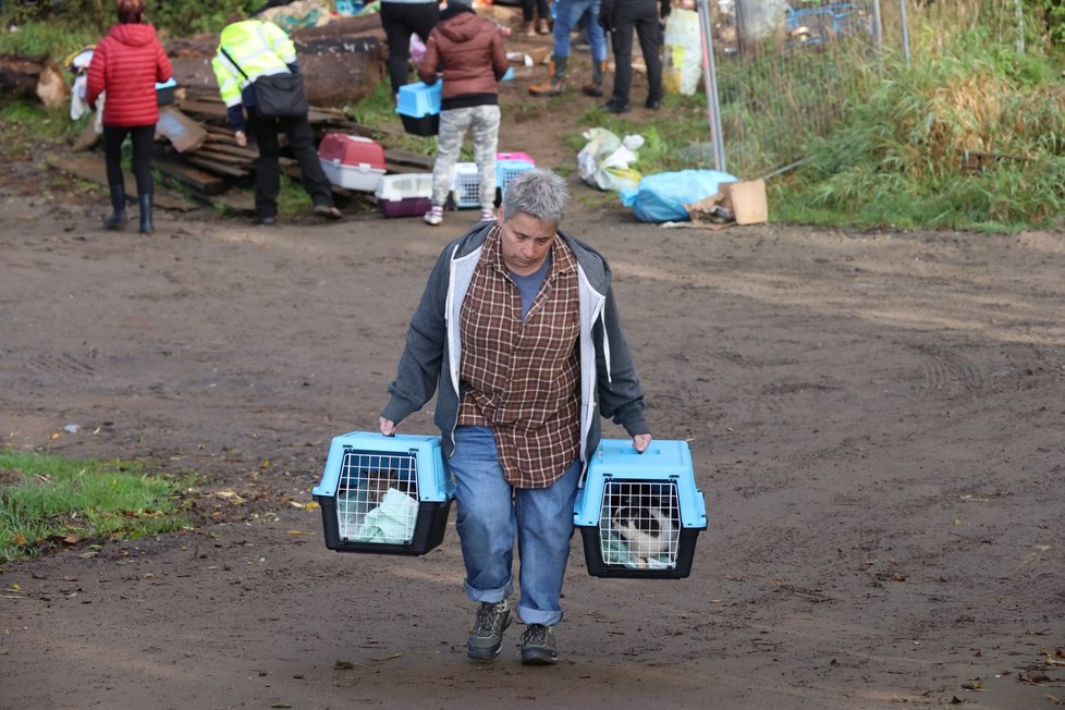 Úřady odebraly zubožená zvířata v Chýnově. (25. 10. 2022)