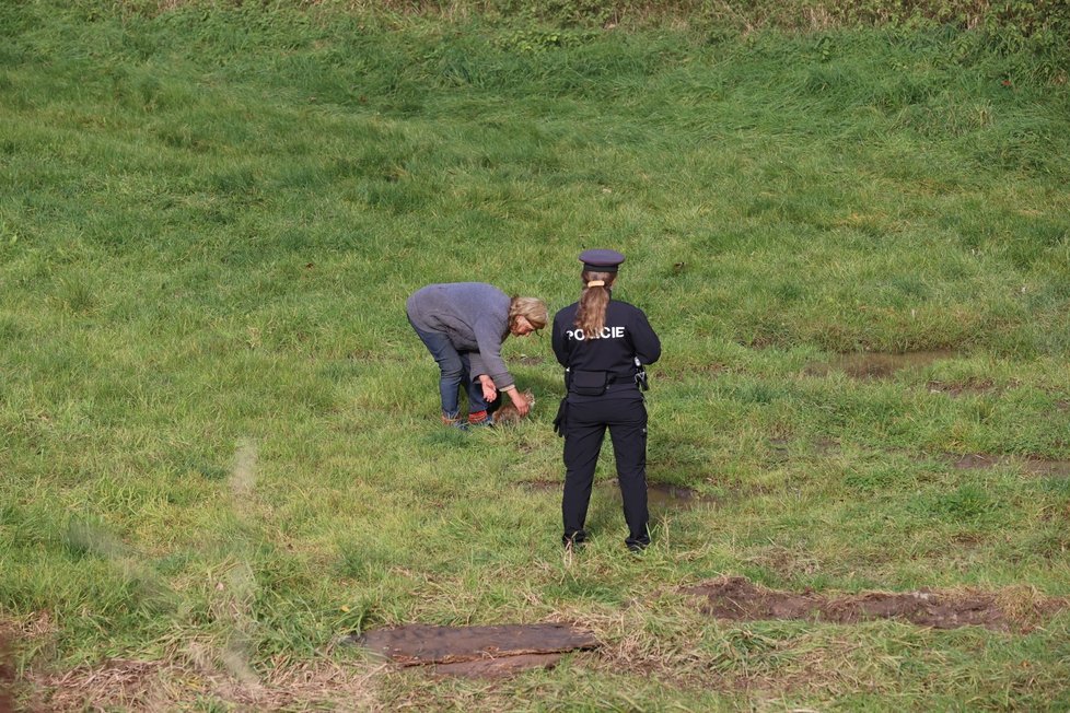 Jedné z koček se Jana Kaprálová odmítala urputně vzdát, zasáhnout musela policie. (25. 10. 2022)