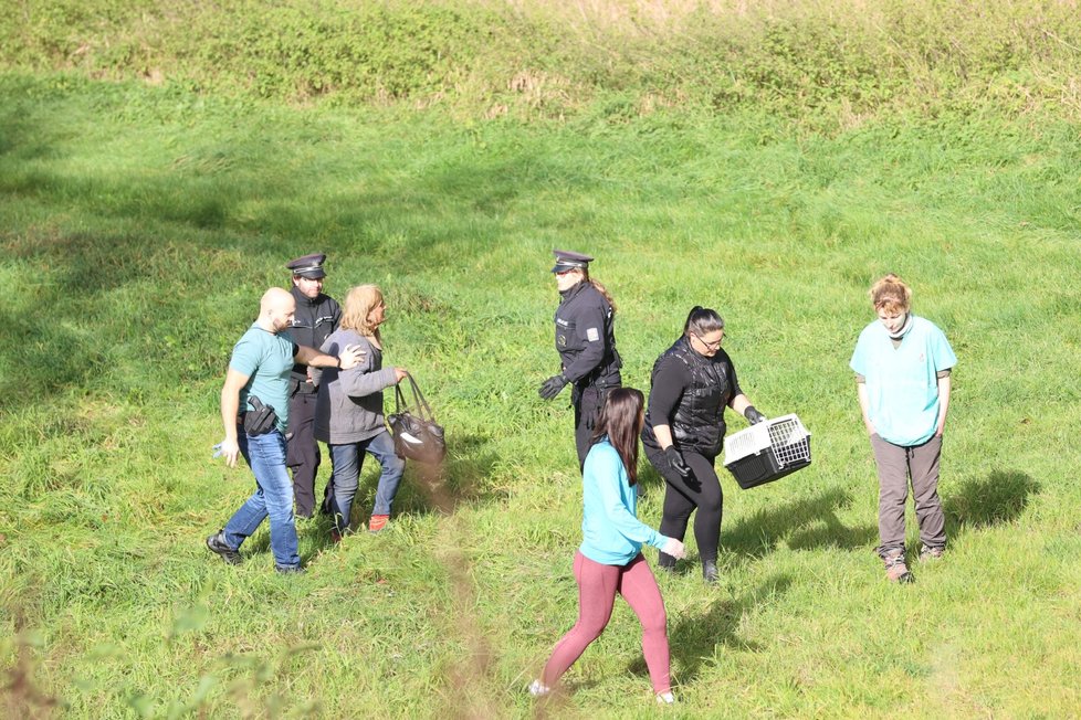 Jedné z koček se Jana Kaprálová odmítala urputně vzdát, zasáhnout musela policie. (25.10.2022)