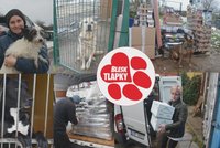 Další várka pomoci míří k psům. Vánoční dárek od čtenářů Blesku dostaly Dočasky De De, Voříškov a ForDogs