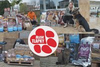 Další porce krmení pro útulky: 900 kilogramů granulí a konzerv díky štědrosti čtenářů Blesku!