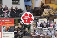Pomozme zvířatům v útulcích! Zaslouží si mít také hezké Vánoce