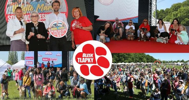 Festival Blesk tlapek se blíží, staňte se jeho součástí. Registrace pro prodejce běží naplno