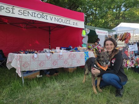 Na festivalu hledal nový domov i německý ovčák Pret ze spolku Psí senioři v nouzi