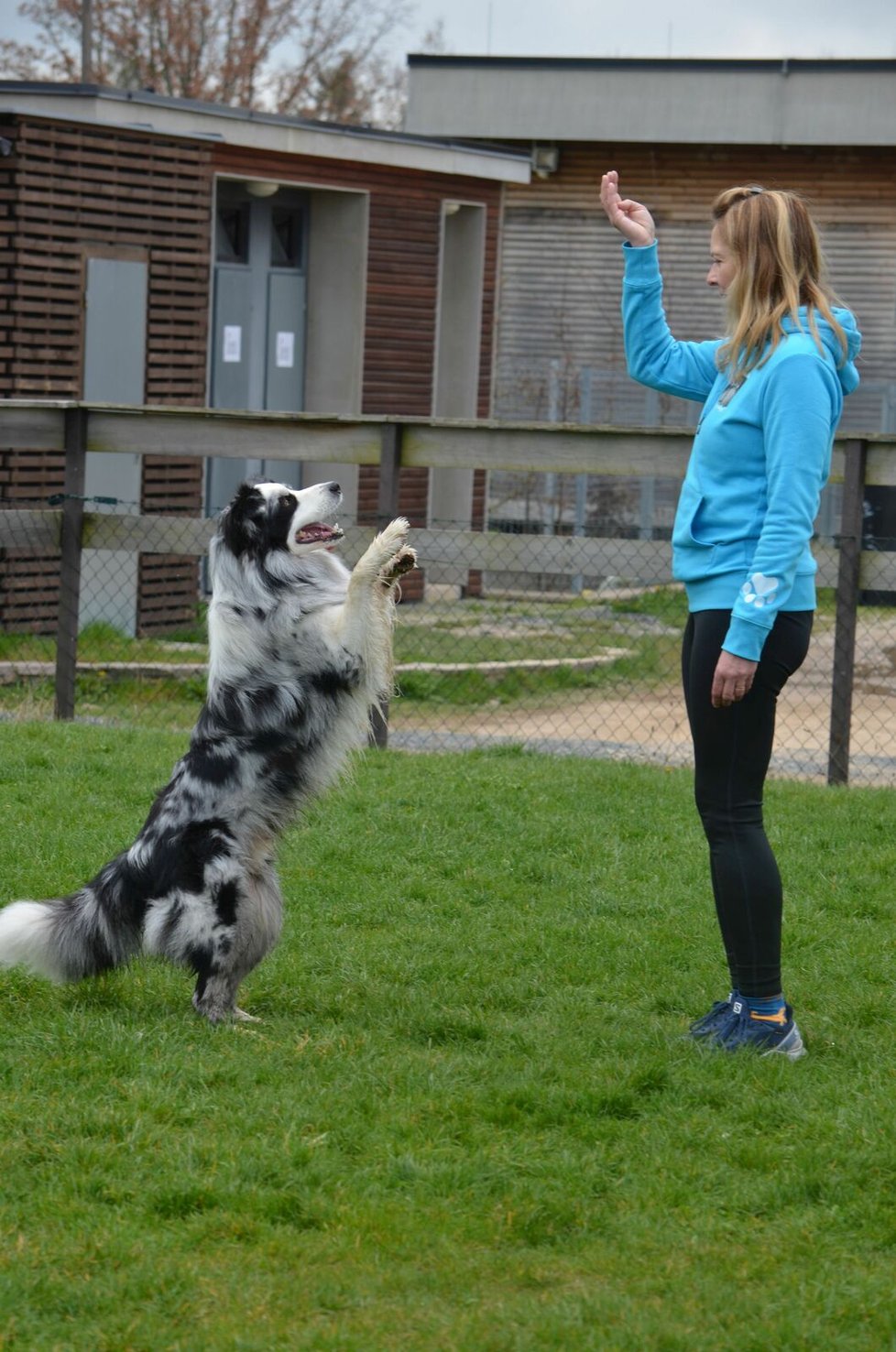 Hana Maršálová s border kolií Scottem ukážou, jak se tančí se psem