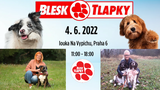 Festival Blesk tlapek se blíží: Zábava pro celou rodinu, podpora opuštěných zvířat i boj proti množírnám