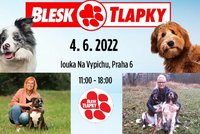 Festival Blesk tlapek se blíží: Zábava pro celou rodinu, podpora opuštěných zvířat i boj proti množírnám