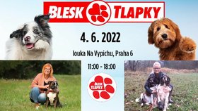 Festival Blesk tlapek