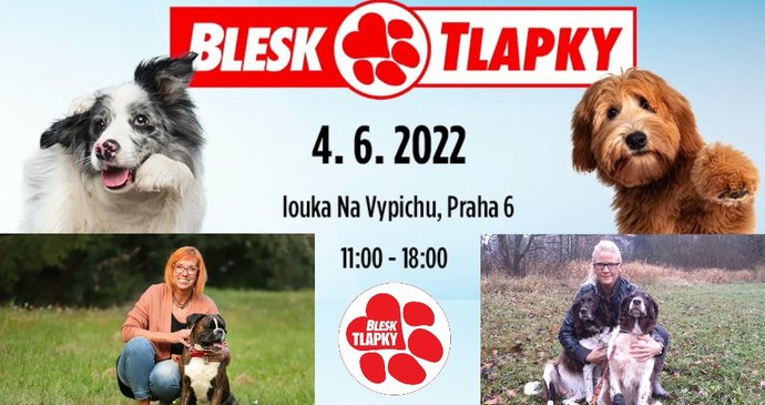 Festival Blesk tlapek